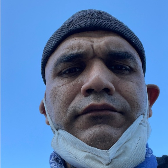 Meet your Posher, Ernest - Picture 1 of 1